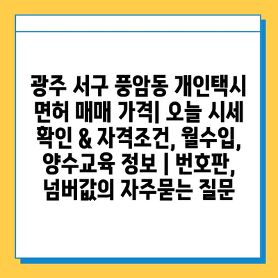 광주 서구 풍암동 개인택시 면허 매매 가격| 오늘 시세 확인 & 자격조건, 월수입, 양수교육 정보 | 번호판, 넘버값