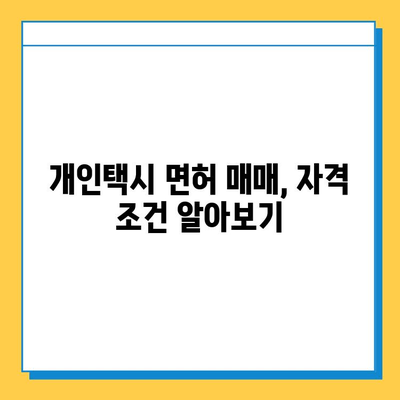 대구 군위군 의흥면 개인택시 면허 매매 가격| 오늘 시세 확인 & 자격조건/월수입/양수교육 | 번호판, 넘버값