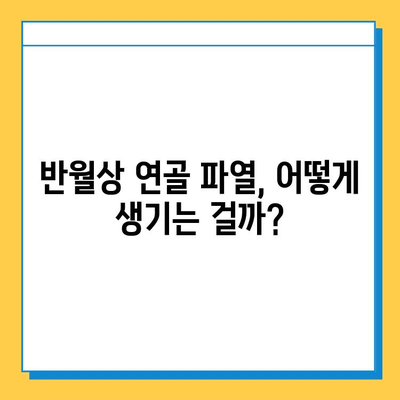 무릎 구부릴 때 통증? 반월상 연골 파열 의심해보세요| 증상, 원인, 치료법 | 무릎 통증, 반월상 연골, 운동 부상, 재활