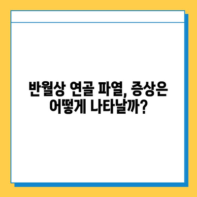 무릎 구부릴 때 통증? 반월상 연골 파열 의심해보세요| 증상, 원인, 치료법 | 무릎 통증, 반월상 연골, 운동 부상, 재활