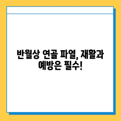 무릎 구부릴 때 통증? 반월상 연골 파열 의심해보세요| 증상, 원인, 치료법 | 무릎 통증, 반월상 연골, 운동 부상, 재활