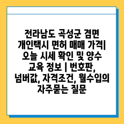 전라남도 곡성군 겸면 개인택시 면허 매매 가격| 오늘 시세 확인 및 양수 교육 정보 | 번호판, 넘버값, 자격조건, 월수입