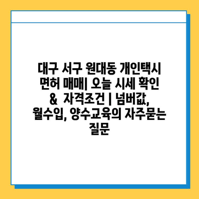 대구 서구 원대동 개인택시 면허 매매| 오늘 시세 확인 &  자격조건 | 넘버값, 월수입, 양수교육