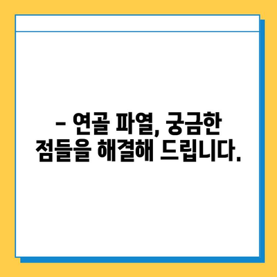 연골 파열, 더 이상 고민하지 마세요! | 연골 파열 증상, 치료법, 재활 가이드