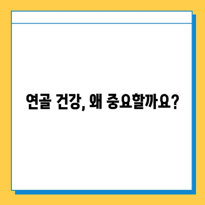 관절 건강 지키는 연골 관리| 복합식품으로 건강을 채우세요 | 연골 건강, 관절 건강, 복합식품, 건강 관리, 영양 팁