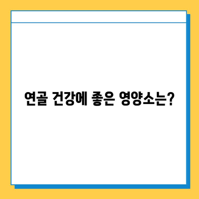 관절 건강 지키는 연골 관리| 복합식품으로 건강을 채우세요 | 연골 건강, 관절 건강, 복합식품, 건강 관리, 영양 팁