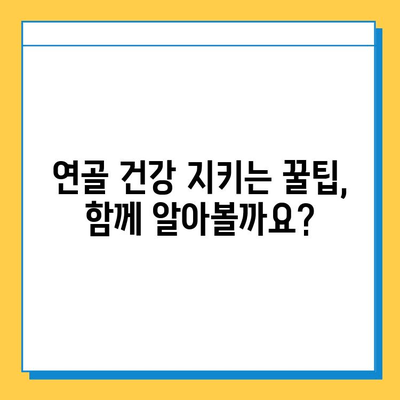 관절 건강 지키는 선택! 나에게 맞는 연골 영양제 찾는 기준과 섭취 후 변화 | 관절, 연골, 영양제, 건강, 섭취 후기