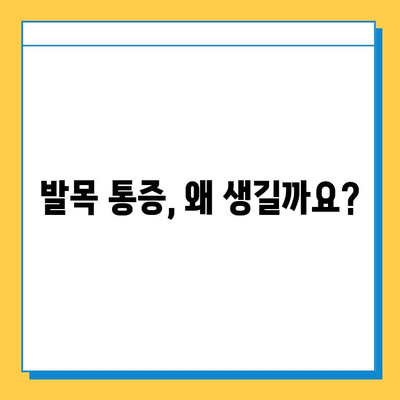 발목 통증의 원인| 발목 연골 건강 관리 가이드 | 발목 통증, 연골 손상, 예방, 치료, 운동