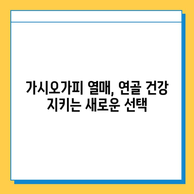 가시오가피 열매, 연골 건강 관리의 새로운 지혜 | 연골 건강, 관절 건강, 가시오가피 효능, 복합 관리