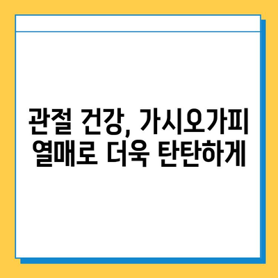 가시오가피 열매, 연골 건강 관리의 새로운 지혜 | 연골 건강, 관절 건강, 가시오가피 효능, 복합 관리