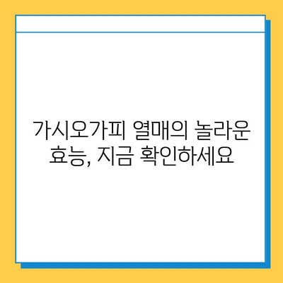 가시오가피 열매, 연골 건강 관리의 새로운 지혜 | 연골 건강, 관절 건강, 가시오가피 효능, 복합 관리