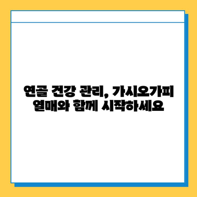 가시오가피 열매, 연골 건강 관리의 새로운 지혜 | 연골 건강, 관절 건강, 가시오가피 효능, 복합 관리