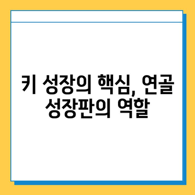 키 성장의 비밀, 연골 성장판의 역할과 관리 | 성장판, 키 크는 방법, 성장판 닫히는 나이