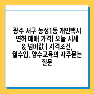 광주 서구 농성1동 개인택시 면허 매매 가격| 오늘 시세 & 넘버값 | 자격조건, 월수입, 양수교육