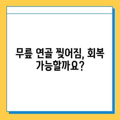 무릎 연골 찢어짐, 회복 가능할까요? | 연골 찢어짐, 치료 방법, 재활, 운동, 전문의 상담