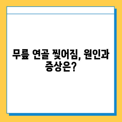 무릎 연골 찢어짐, 회복 가능할까요? | 연골 찢어짐, 치료 방법, 재활, 운동, 전문의 상담