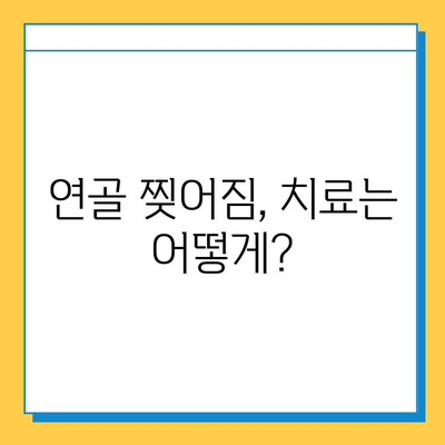 무릎 연골 찢어짐, 회복 가능할까요? | 연골 찢어짐, 치료 방법, 재활, 운동, 전문의 상담