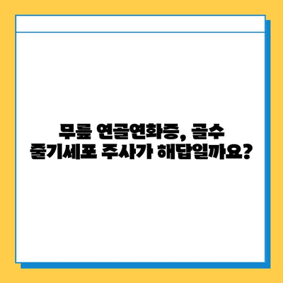 무릎연골연화증, 골수 줄기세포 주사로 치료 가능할까요? | 연골 재생, 치료 가능성, 임상 연구