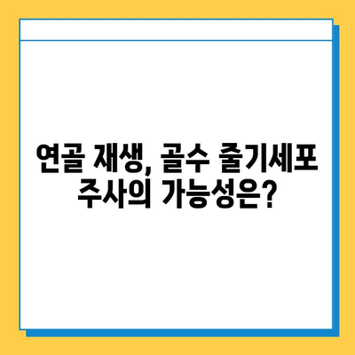 무릎연골연화증, 골수 줄기세포 주사로 치료 가능할까요? | 연골 재생, 치료 가능성, 임상 연구