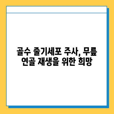 무릎연골연화증, 골수 줄기세포 주사로 치료 가능할까요? | 연골 재생, 치료 가능성, 임상 연구