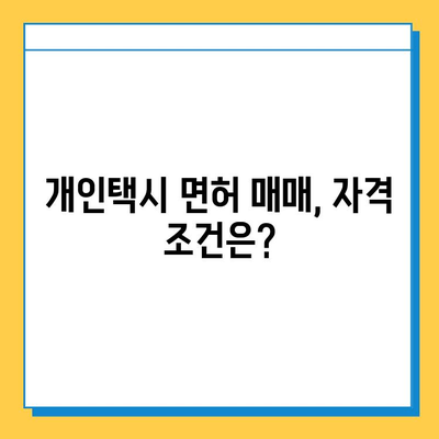 부산 사상구 괴정동 개인택시 면허 매매| 오늘 시세, 가격 (번호판, 넘버값) | 자격조건, 월수입, 양수교육