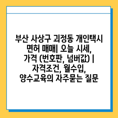 부산 사상구 괴정동 개인택시 면허 매매| 오늘 시세, 가격 (번호판, 넘버값) | 자격조건, 월수입, 양수교육