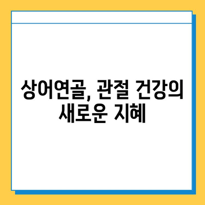 관절염증약 대신 상어연골로 건강한 관절 되찾기| 효과와 주의사항 | 관절 건강, 상어 연골, 건강 기능 식품, 관절염