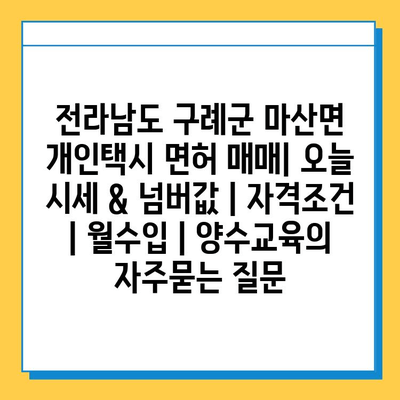 전라남도 구례군 마산면 개인택시 면허 매매| 오늘 시세 & 넘버값 | 자격조건 | 월수입 | 양수교육