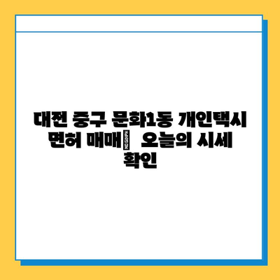 대전 중구 문화1동 개인택시 면허 매매 가격| 오늘 시세 확인 | 번호판, 넘버값, 자격조건, 월수입, 양수교육