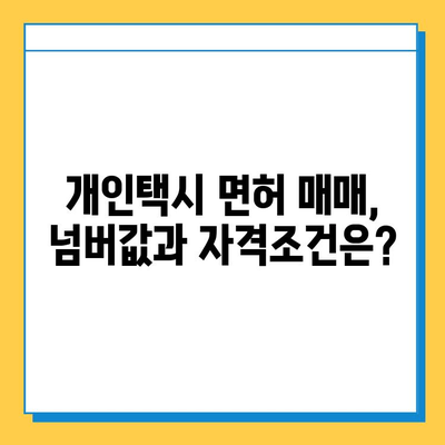 대전 중구 문화1동 개인택시 면허 매매 가격| 오늘 시세 확인 | 번호판, 넘버값, 자격조건, 월수입, 양수교육