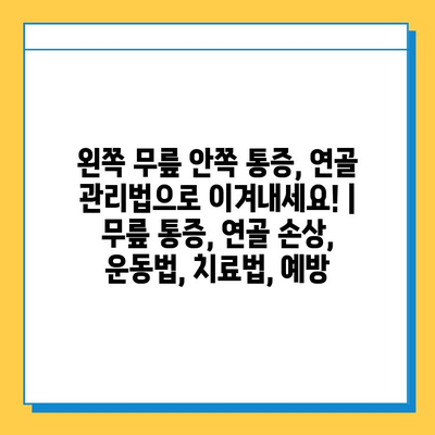 왼쪽 무릎 안쪽 통증, 연골 관리법으로 이겨내세요! | 무릎 통증, 연골 손상, 운동법, 치료법, 예방