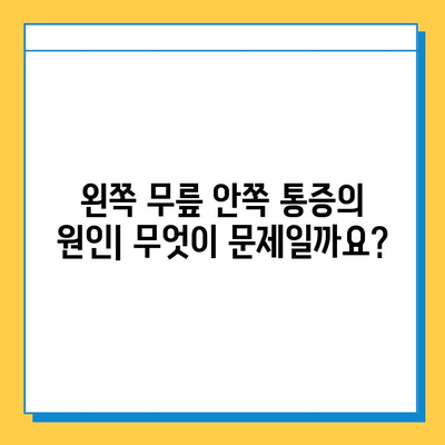 왼쪽 무릎 안쪽 통증, 연골 관리법으로 이겨내세요! | 무릎 통증, 연골 손상, 운동법, 치료법, 예방