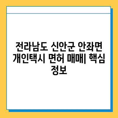 전라남도 신안군 안좌면 개인택시 면허 매매| 오늘 시세 & 넘버값, 자격조건, 월수입, 양수교육 가이드 | 핵심 정보 & 실제 매물 정보