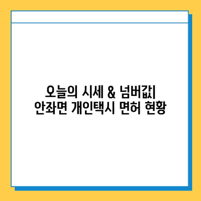 전라남도 신안군 안좌면 개인택시 면허 매매| 오늘 시세 & 넘버값, 자격조건, 월수입, 양수교육 가이드 | 핵심 정보 & 실제 매물 정보