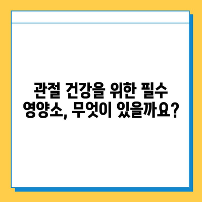 무릎 연골 건강을 위한 효과적인 영양제 선택 가이드 | 무릎 통증, 연골 재생, 관절 건강