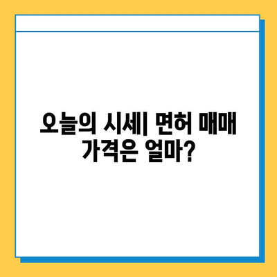 세종시 다정동 개인택시 면허 매매 가격| 오늘 시세, 자격조건, 월수입, 양수교육 | 번호판, 넘버값, 면허 취득, 매매 정보