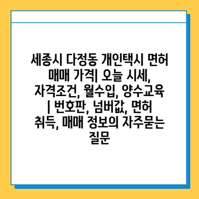 세종시 다정동 개인택시 면허 매매 가격| 오늘 시세, 자격조건, 월수입, 양수교육 | 번호판, 넘버값, 면허 취득, 매매 정보