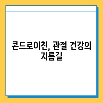 호주산 관절 연골 영양제 후기| 콘드로이친 추천 이유 & 효과 분석 | 관절 건강, 연골 재생, 영양제 추천, 후기