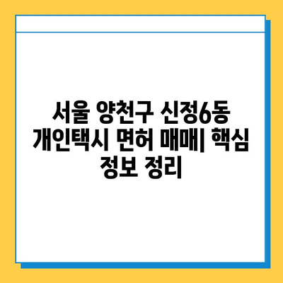 서울 양천구 신정6동 개인택시 면허 매매 가격| 오늘 시세 확인 및 양수 교육 정보 | 번호판, 넘버값, 자격조건, 월수입