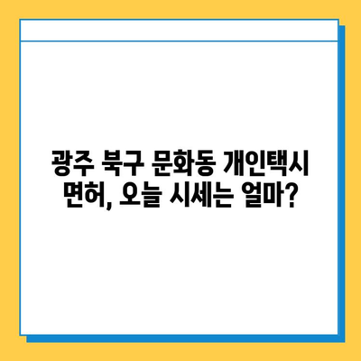 광주 북구 문화동 개인택시 면허 매매| 오늘 시세 확인 & 자격조건, 월수입, 양수교육 정보 | 번호판, 넘버값, 가격 비교