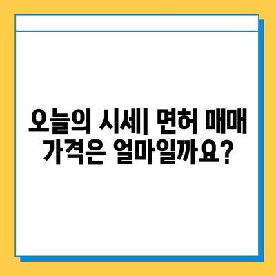 서울 양천구 신정6동 개인택시 면허 매매 가격| 오늘 시세 확인 및 양수 교육 정보 | 번호판, 넘버값, 자격조건, 월수입