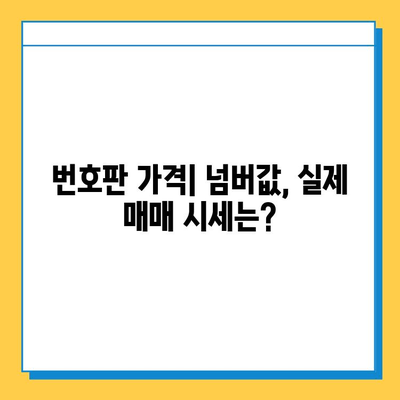 서울 양천구 신정6동 개인택시 면허 매매 가격| 오늘 시세 확인 및 양수 교육 정보 | 번호판, 넘버값, 자격조건, 월수입