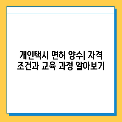 서울 양천구 신정6동 개인택시 면허 매매 가격| 오늘 시세 확인 및 양수 교육 정보 | 번호판, 넘버값, 자격조건, 월수입