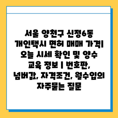 서울 양천구 신정6동 개인택시 면허 매매 가격| 오늘 시세 확인 및 양수 교육 정보 | 번호판, 넘버값, 자격조건, 월수입