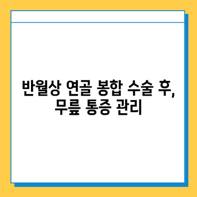 반월상 연골 봉합 수술 후 빠른 회복을 위한 재활 가이드 | 무릎 통증, 재활 운동, 수술 후 관리