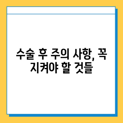 반월상 연골 봉합 수술 후 빠른 회복을 위한 재활 가이드 | 무릎 통증, 재활 운동, 수술 후 관리