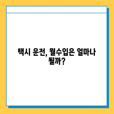 제주시 일도1동 개인택시 면허 매매, 오늘 시세는? | 가격, 번호판, 자격조건, 월수입, 양수교육