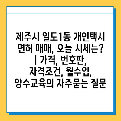 제주시 일도1동 개인택시 면허 매매, 오늘 시세는? | 가격, 번호판, 자격조건, 월수입, 양수교육