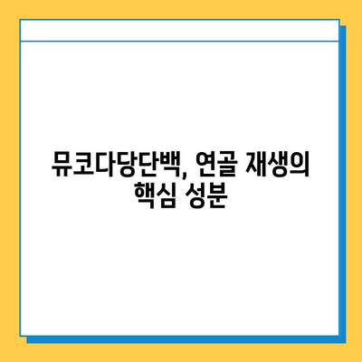 연골 재생 영양제, 뮤코다당단백으로 효과 높이기 | 연골 건강, 관절 통증 완화, 영양제 추천