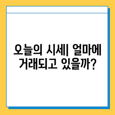 전라북도 완주군 화산면 개인택시 면허 매매 가격| 오늘 시세 확인! | 번호판, 넘버값, 자격조건, 월수입, 양수교육